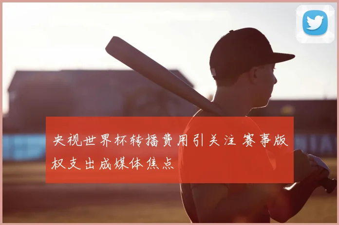 央视世界杯转播费用引关注 赛事版权支出成媒体焦点
