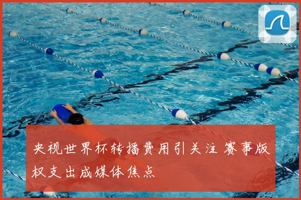 央视世界杯转播费用引关注 赛事版权支出成媒体焦点