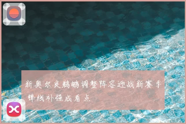 新奥尔良鹈鹕调整阵容迎战新赛季 锋线补强成看点