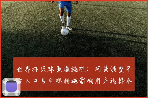 世界杯买球渠道梳理：网易调整平台入口与合规措施影响用户选择和交易路径