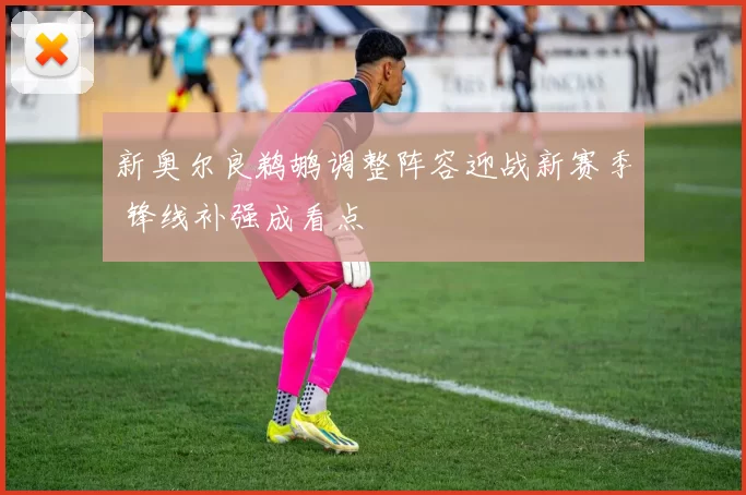 新奥尔良鹈鹕调整阵容迎战新赛季 锋线补强成看点